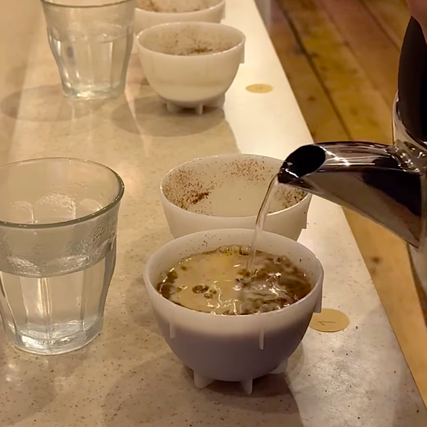 Gecko X Square Mile Coffee Cupping