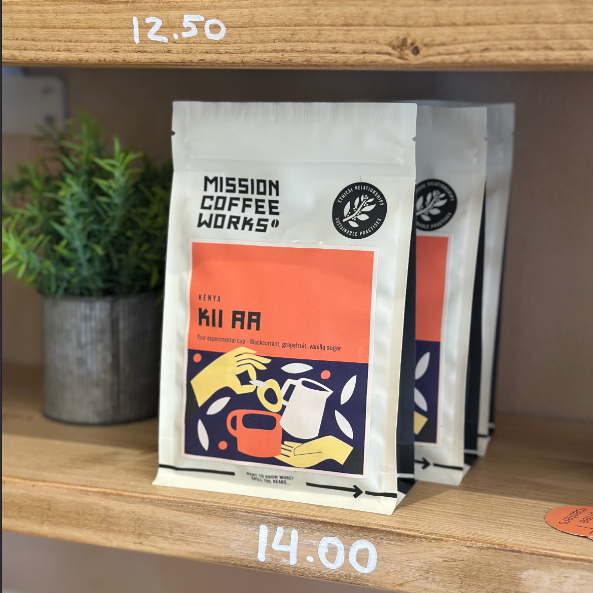 Gecko X Mission Coffee Works Cupping